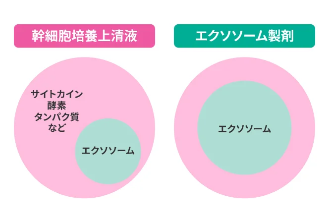幹細胞培養上清液との違いをイメージした写真